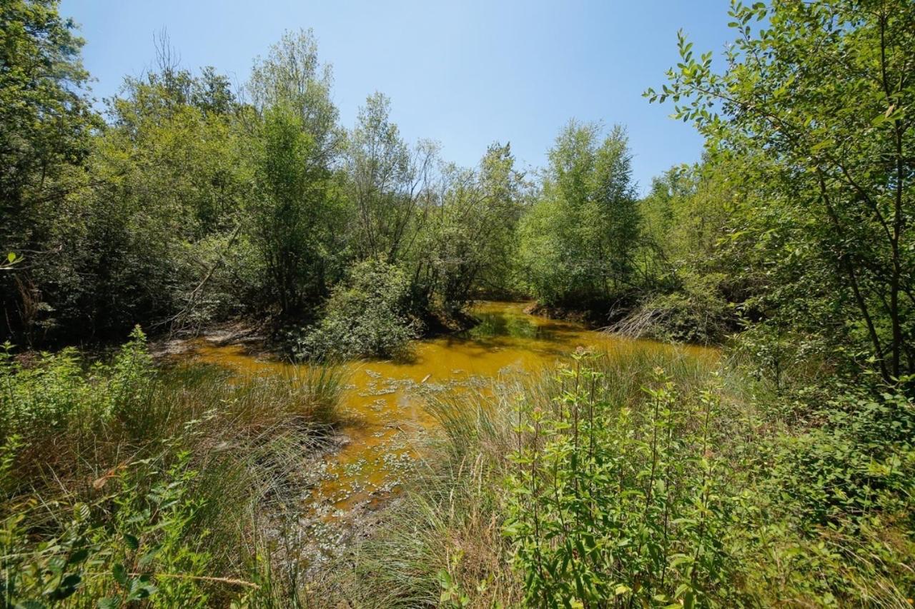 Domaine La Faix, Gite La Forestiere Saint-Plaisir ภายนอก รูปภาพ