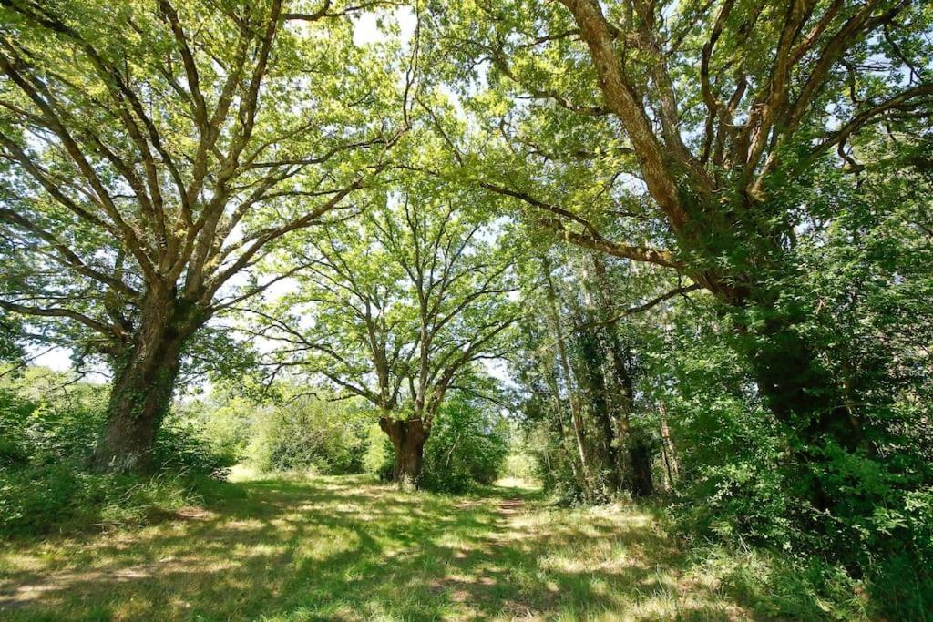 Domaine La Faix, Gite La Forestiere Saint-Plaisir ภายนอก รูปภาพ